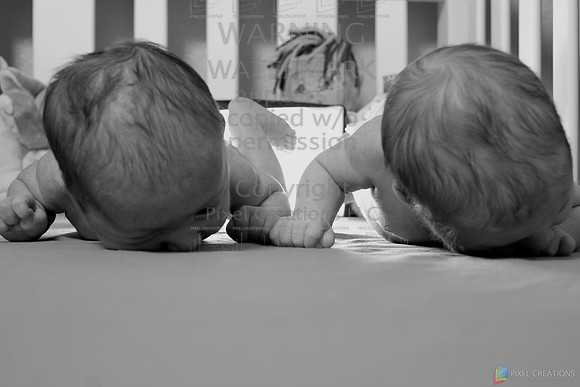 DSCF1151 - Version 2