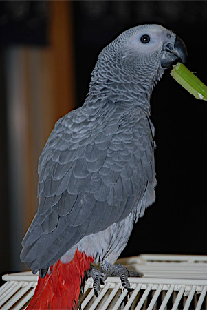 DSC_5760.jpg
